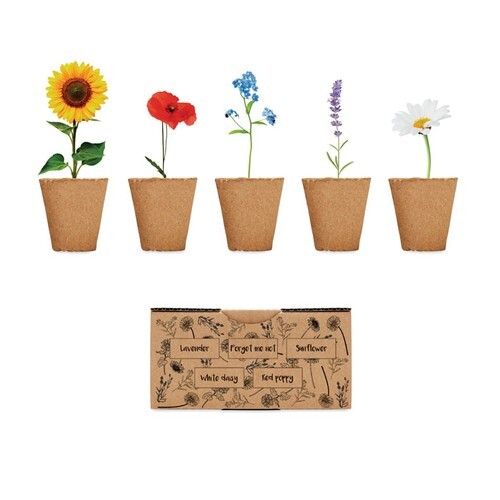 FLOWERS Kit de culture fleurs