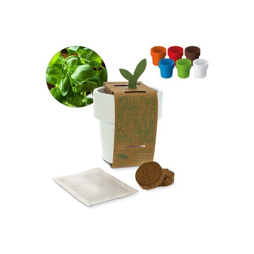 Tasse à café hot-but-cool avec graines de basilique