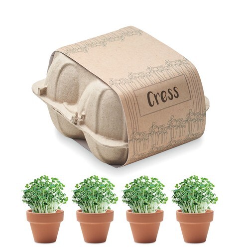 CRESS Kit de culture de cresson