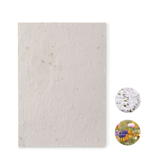 ASIDE Papier A5 graines de fleurs