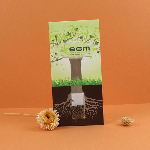 Carte visio-graines allongée