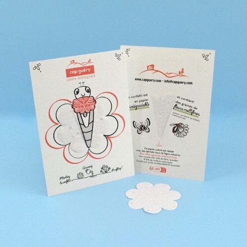 Papillon papier graines