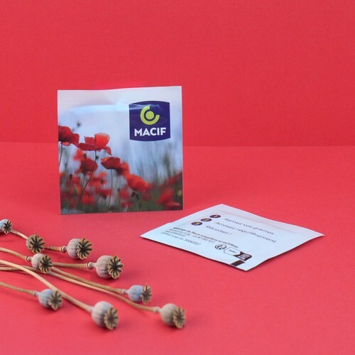 Sachet graines quadri  55x55mm