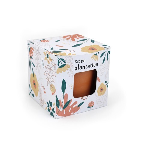 Cube plantation standard Ø7cm