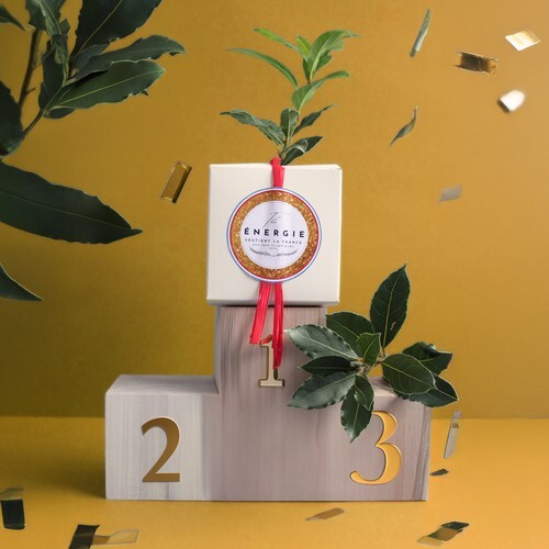 Cube Arbre Prestiges