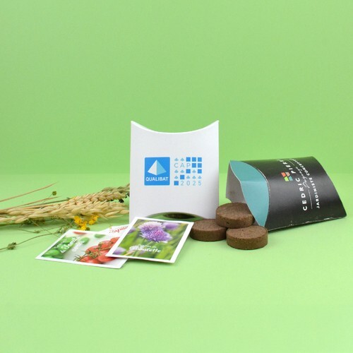 Collection sachets berlingot