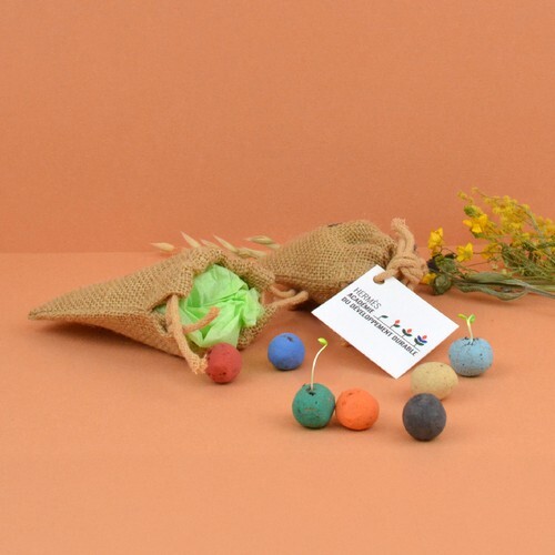 Pochon 5 billes de graines