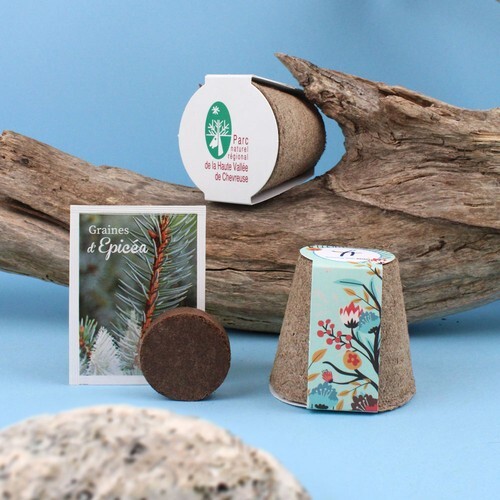 Kit plantation arbre pot cellulose