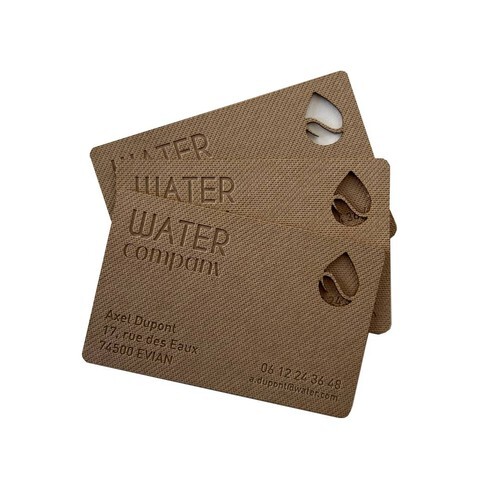 Carte de visite - France