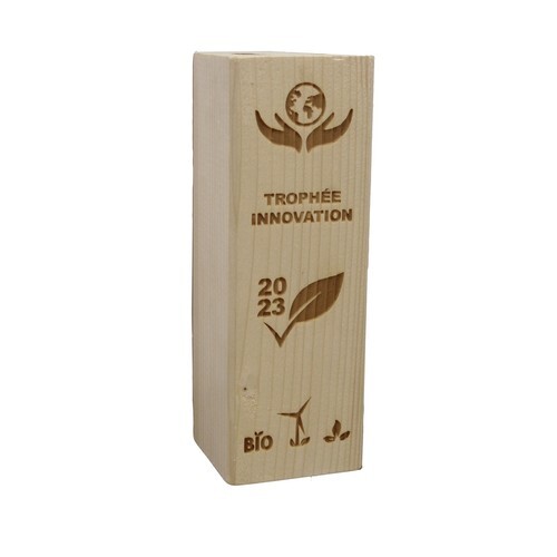 Trophée Bois BLOC 20cm - France