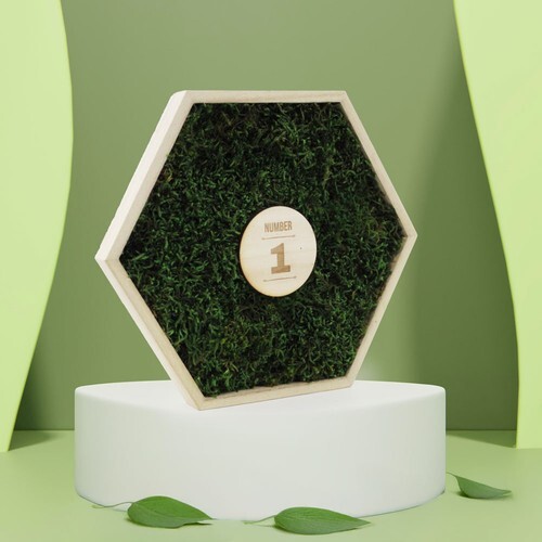 Trophée mousse hexagonal