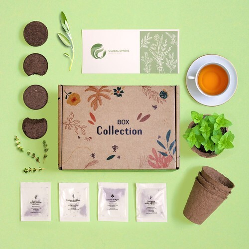 Box collection tisane