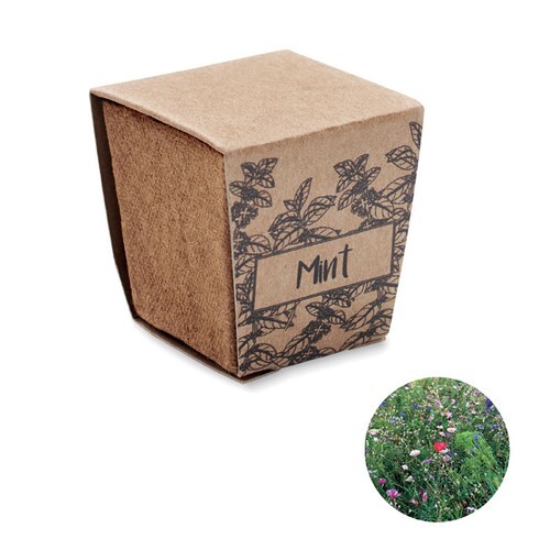 MINT KIT Kit de graines menthe