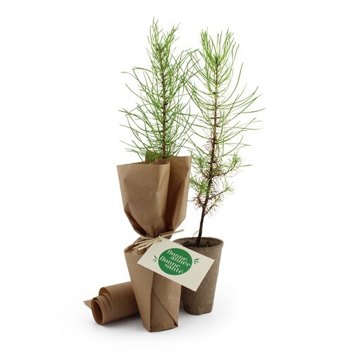 Arbre pot fibre de bois feuillus