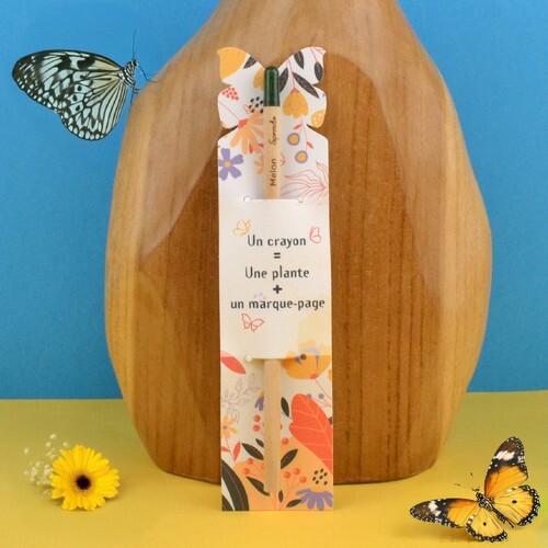 Crayon à graines étui papillon standard