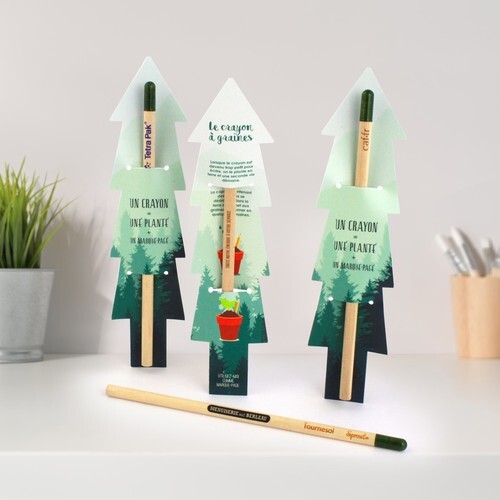 Crayon à graines étui sapin standard