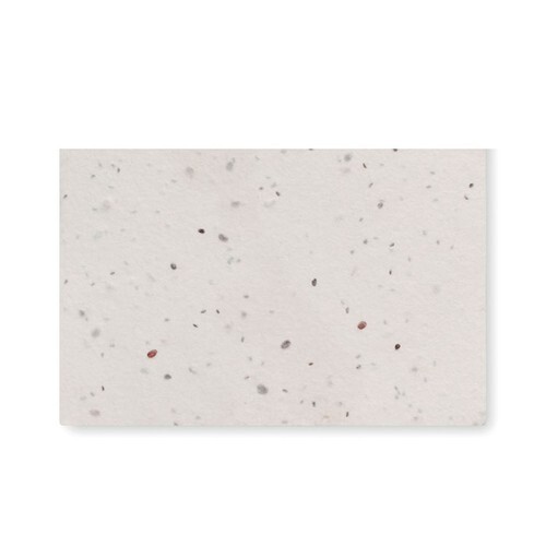 ASIDA Carte de visite pour les graine