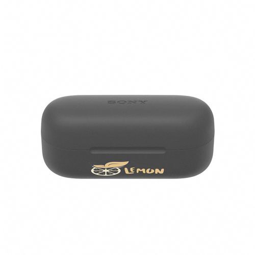 Sony WF-C510 Wireless Earbud (Noir, Impression en couleur)