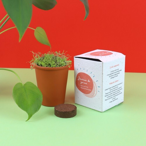 Kit de plantation pot terre cuite en boite ensemencée