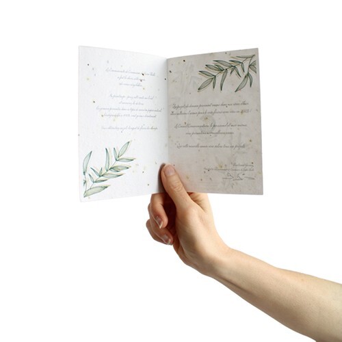 Papier graines 250g 2 volets recto/verso