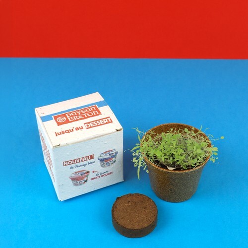 Kit de plantation pot paille de riz en boite ensemencée