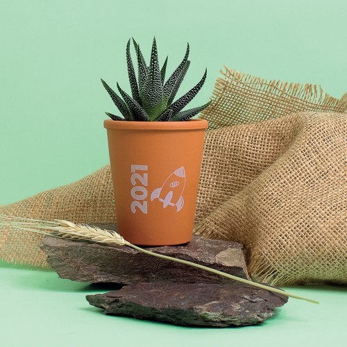 Plante pot terre cuite Ø7 cm