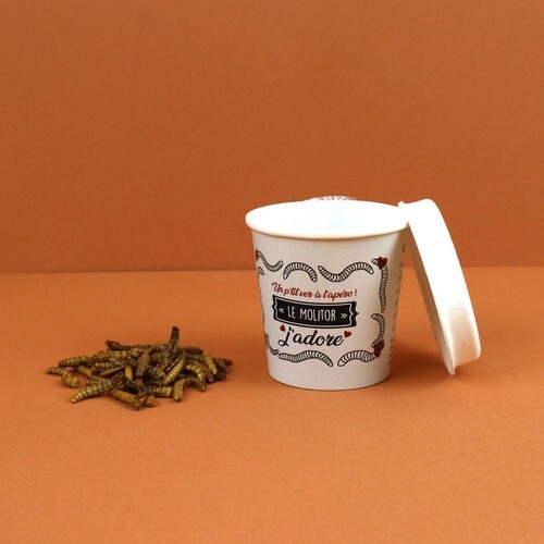 Insectes apéritifs en pot carton