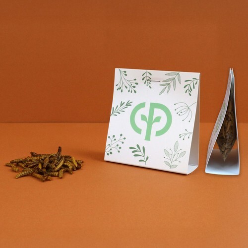 Insectes apéritifs en sachet