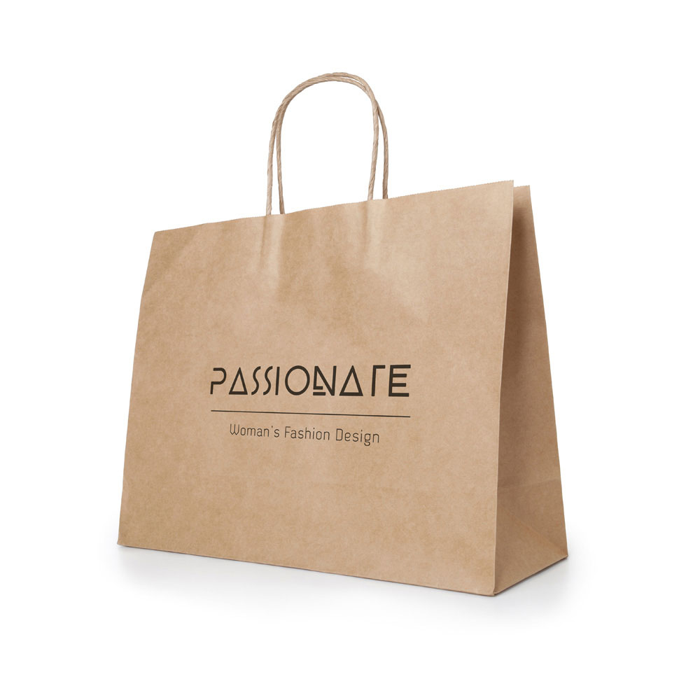PACK PROMO SAC KRAFT NATUREL XL ►FAB EUROPE  ►100EX