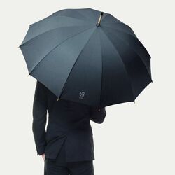 Parapluie auto. CHICCITY