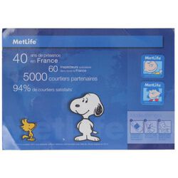 STICKY CLEANER MICROFIBRE