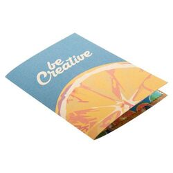 carte postale essuie-lunettes Dioptry Mail Eco