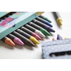 Set De 12 Pastels Craxon 12