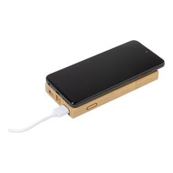 Power Bank Wooster