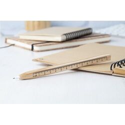 Stylo À Bille Avec Règle Burnham