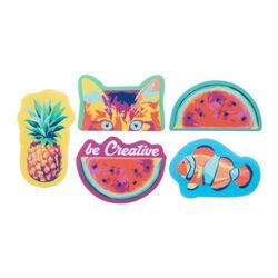 Cache webcam ShapeCam