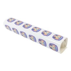 Doming Sur Planche EpoStick
