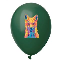 ballon de baudruche, pastel CreaBalloon