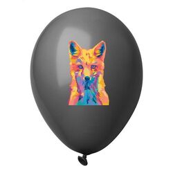 ballon de baudruche, pastel CreaBalloon