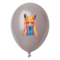 ballon de baudruche, pastel CreaBalloon