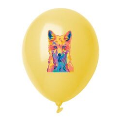 ballon de baudruche, pastel CreaBalloon