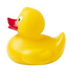 Canard Pour Bain Squack