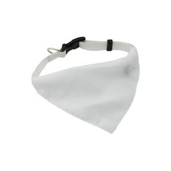 collier pour chien Rex