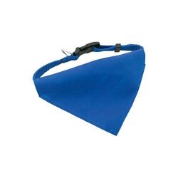 collier pour chien Rex