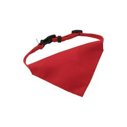 Collier Pour Chien Rex