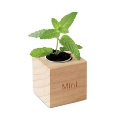 MENTA Pot en bois avec graine