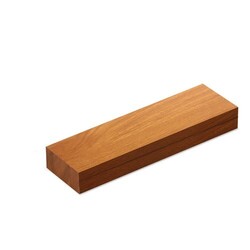 ALASKA Pointeur laser multifonctions