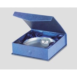 MONDAL Trophée globe en verre