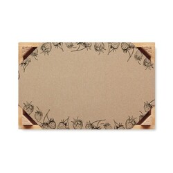 STRAWBERRY Graines de fraises dans une cai