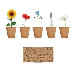 FLOWERS Kit de culture fleurs